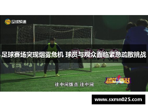 足球赛场突现烟雾危机 球员与观众面临紧急疏散挑战